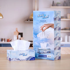 200 Sheets X 2 Ply Soft N Cool Facial Tissue