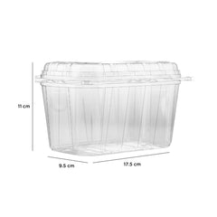 Clear PET Punnet Hinged Container