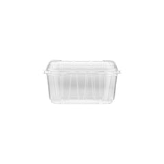 Clear PET Punnet Hinged Container