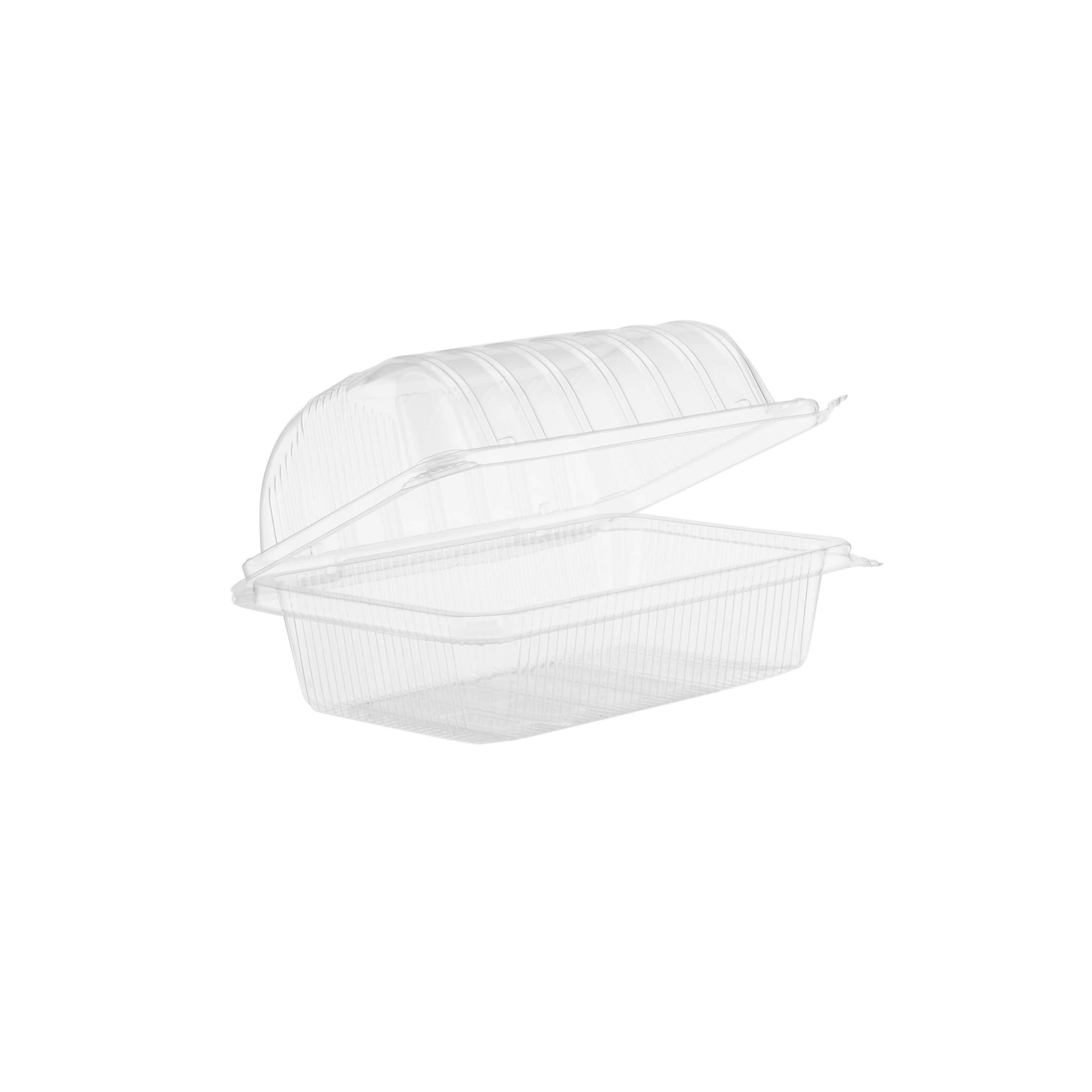 Clear Rectangle Hinged Container