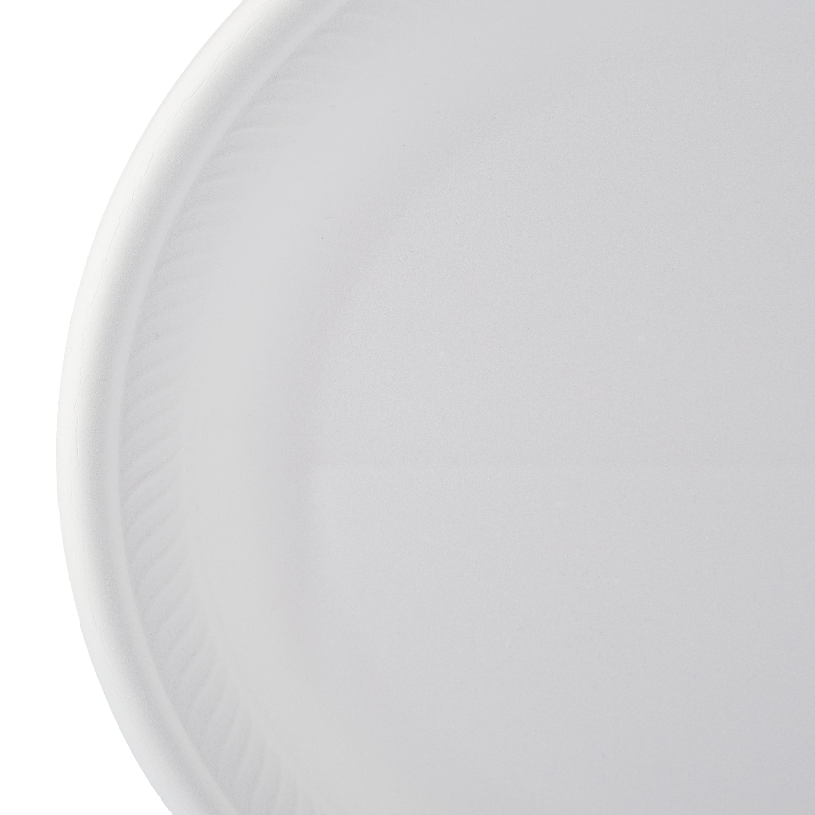 10 Inch Round Foam Plate