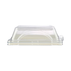 Bio-Degradable Square Plate With Lid