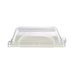  Bio-Degradable Square Plate With Lid