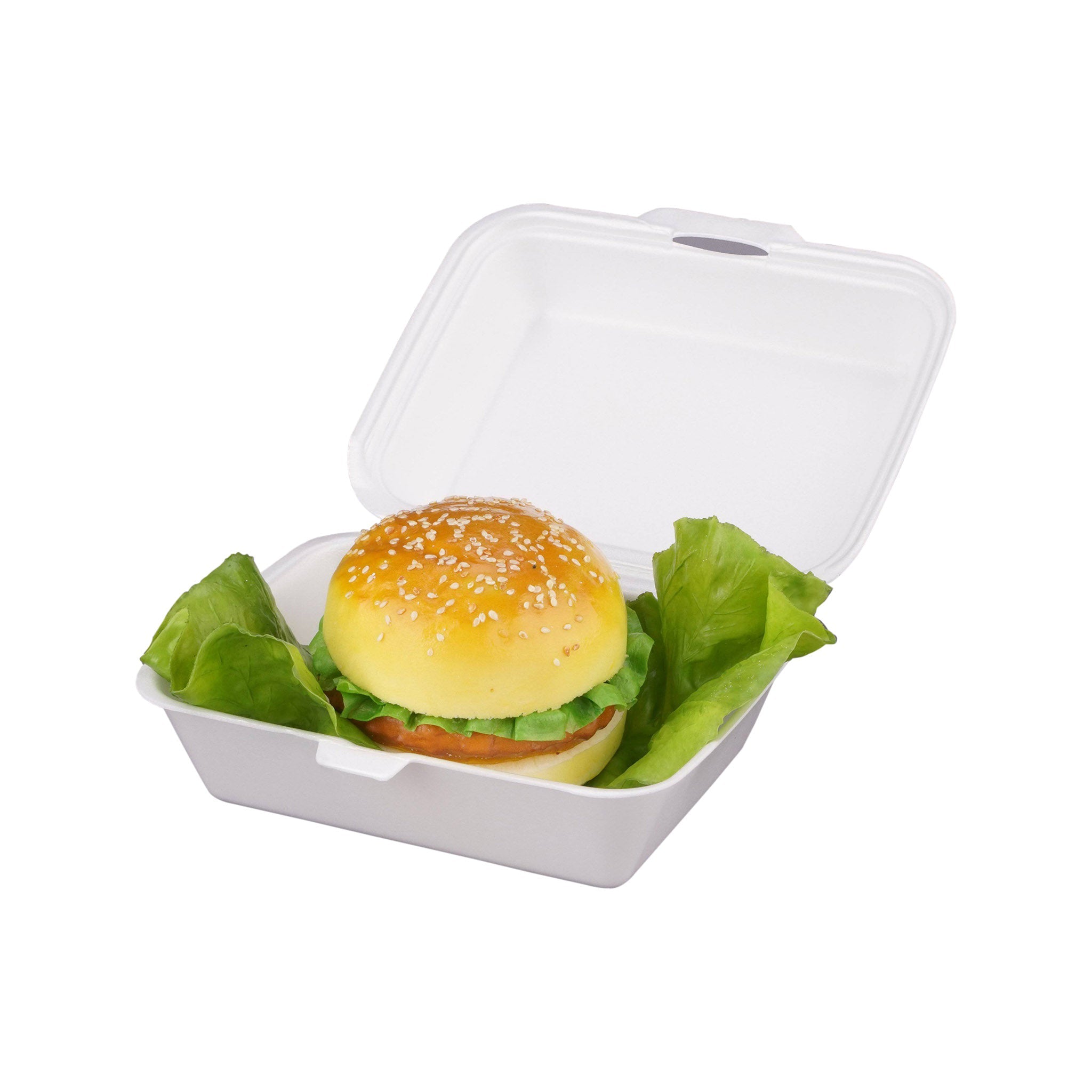 Foam Lunch Box - Hotpack qatar