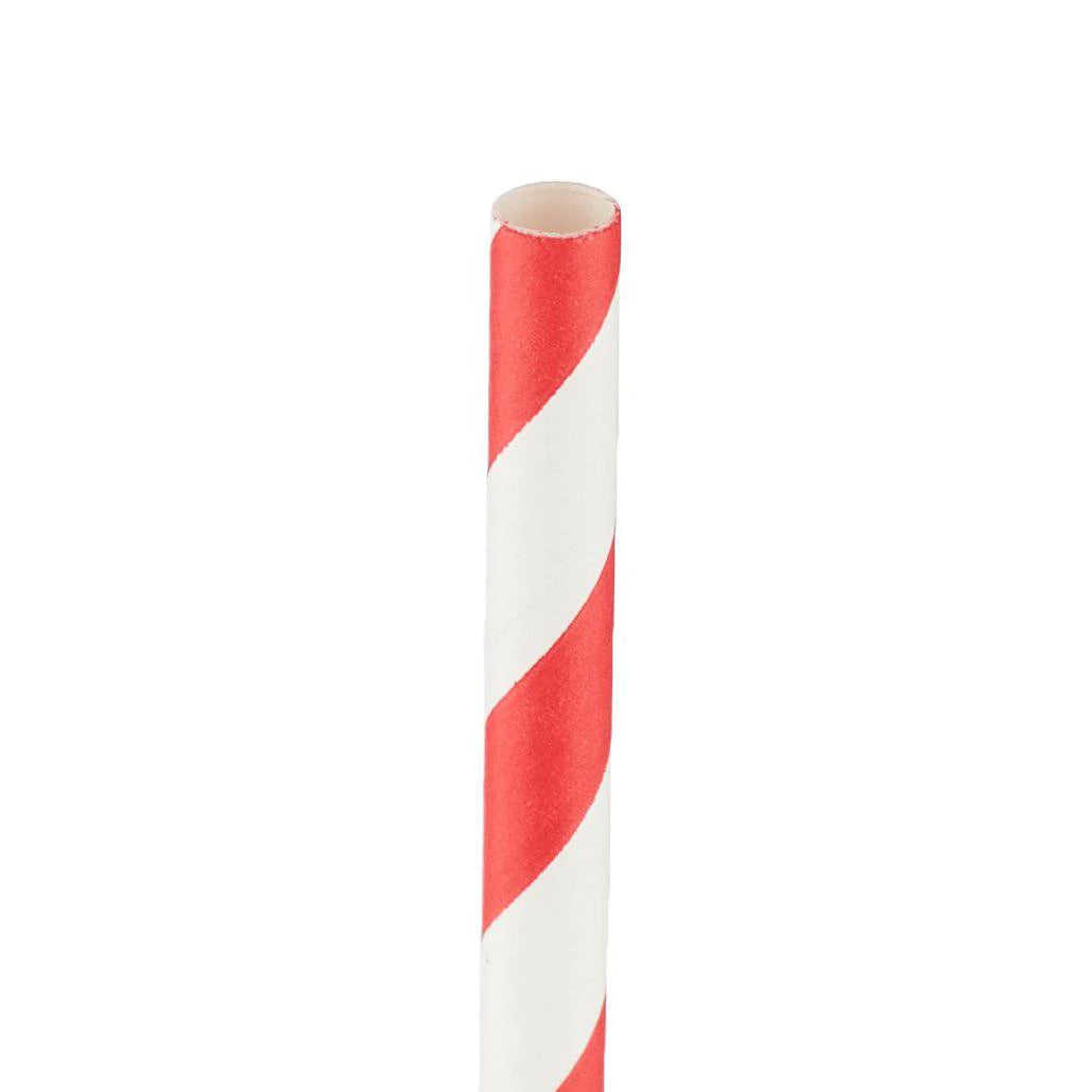 Paper Straw With Individual Wrap-Hotpack