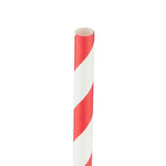 Paper Straw With Individual Wrap-Hotpack