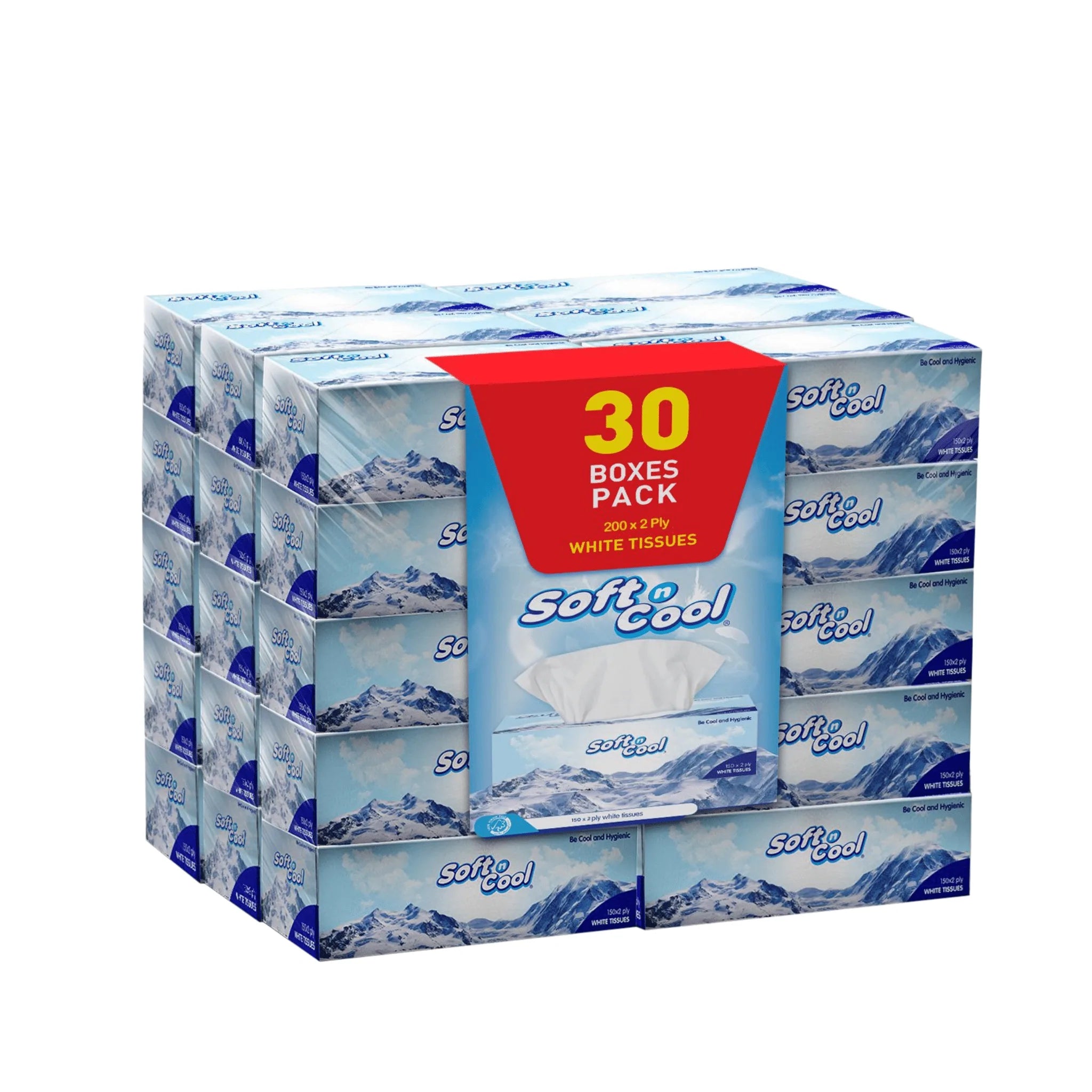  2 Ply Soft N Cool Facial Tissue-Hotpack
